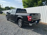 Used 2019 Ford F150 XLT w/ Equipment Group 302A Luxury image 3