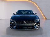 Used 2024 Ford Mustang Coupe image 2