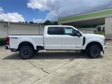 New 2025 Ford F250 Platinum image 2