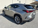 Used 2022 Lexus NX 350h AWD image 5