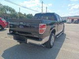 Used 2013 Ford F150 XLT w/ XLT Chrome Pkg image 5
