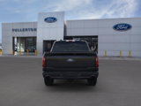 New 2025 Ford F150 XLT w/ Equipment Group 303A High image 5