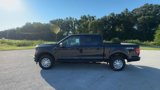 New 2025 Ford F150 XL image 5