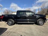 New 2025 Ford F150 XLT w/ Equipment Group 302A MID image 5