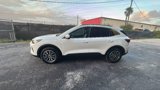 Used 2023 Ford Escape SE w/ PHEV Premium Package image 4