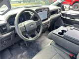 Used 2024 Ford F150 XL w/ Equipment Group 103A High image 2