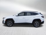 Used 2025 Hyundai Tucson Limited image 4