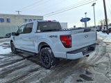 New 2025 Ford F150 XLT w/ Equipment Group 301A Standard image 3