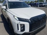 New 2025 Hyundai Palisade XRT image 5