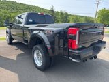 New 2025 Ford F450 Platinum image 5