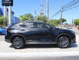 New 2025 Lexus NX 250 FWD w/ Premium Package image 4