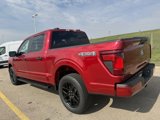 New 2025 Ford F150 STX image 5