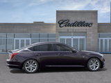 New 2026 Cadillac CT5 Premium Luxury image 5