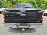 Used 2019 Ford F150 XLT w/ Equipment Group 302A Luxury image 4