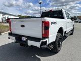 New 2024 Ford F250 XLT w/ Black Appearance Package image 3