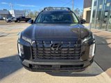 New 2025 Hyundai Palisade XRT image 2