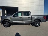 New 2025 Ford F150 STX w/ Equipment Group 200A image 2