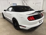 Used 2019 Ford Mustang GT Premium w/ GT Performance Package image 5