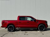 New 2025 Ford F150 STX image 6
