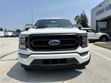 Certified 2023 Ford F150 XLT w/ Equipment Group 302A High image 4