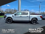 New 2025 Ford F150 STX image 2