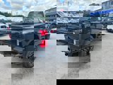 New 2025 Ford F250 Platinum image 4
