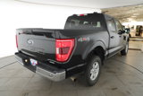 Used 2023 Ford F150 XLT image 4