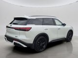 Used 2025 INFINITI QX60 Luxe w/ Black Edition image 3