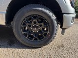 New 2025 Ford F150 XLT w/ Equipment Group 302A MID image 4