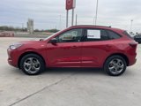 Used 2024 Ford Escape ST-Line image 4