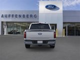 New 2025 Ford F150 XLT w/ Equipment Group 302A MID image 5