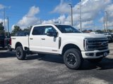 New 2025 Ford F350 4x4 Crew Cab Super Duty image 2