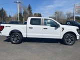 New 2025 Ford F150 STX w/ Equipment Group 200A image 4