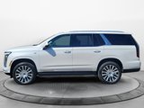 New 2025 Cadillac Escalade Premium Luxury Platinum image 4