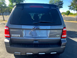 Used 2011 Ford Escape XLT w/ 202A Rapid Spec Order Code image 5