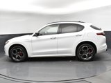 Used 2022 Alfa Romeo Stelvio Veloce image 5