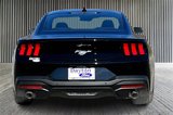New 2025 Ford Mustang Premium image 4