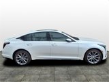 Certified 2025 Cadillac CT5 Sport w/ Sun And Sound Package image 6