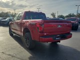 New 2025 Ford F150 XLT w/ Equipment Group 302A MID image 5