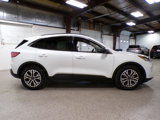Used 2020 Ford Escape SEL image 6