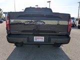 New 2025 Ford F150 XLT w/ Equipment Group 302A MID image 5