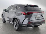 New 2025 Lexus NX 350h AWD w/ Premium Package image 5