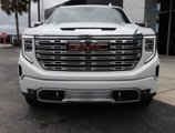 New 2025 GMC Sierra 1500 Denali w/ Denali Reserve Package image 3