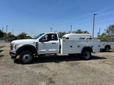 New 2024 Ford F450 XL w/ XL Chrome Package image 5