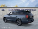 New 2025 Ford Expedition Active image 4