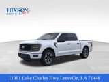 New 2025 Ford F150 STX w/ Equipment Group 200A image 1