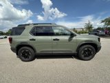 New 2026 Honda Passport TrailSport Elite image 4
