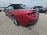 New 2025 Ford Mustang GT Premium image 5
