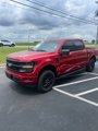Used 2024 Ford F150 XLT w/ Equipment Group 302A MID image 2