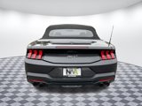 Used 2024 Ford Mustang GT Premium image 4